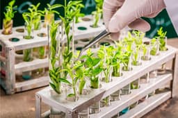 Как сделать так, чтобы в компании работали образованные, мотивированные и лояльные сотрудники. А те, кто этим критериям не соответствует, не задерживались? image preview