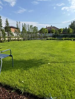 Субботняя история image preview