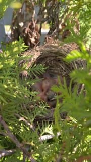 Субботняя история image preview