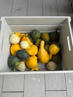 Субботняя история image preview