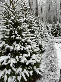 Пост про то, зачем я построил дом возле леса, и что нужно эмпатичному руководителю, чтобы не сгореть на работе. image preview
