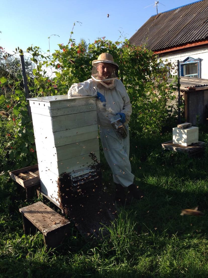Пчеловод в защитном костюме у улья в своем саду