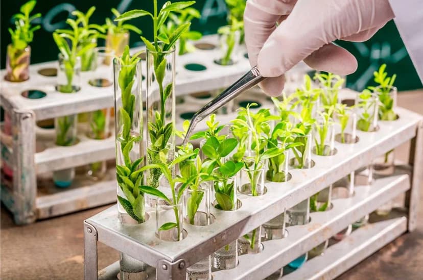 Фотография поста