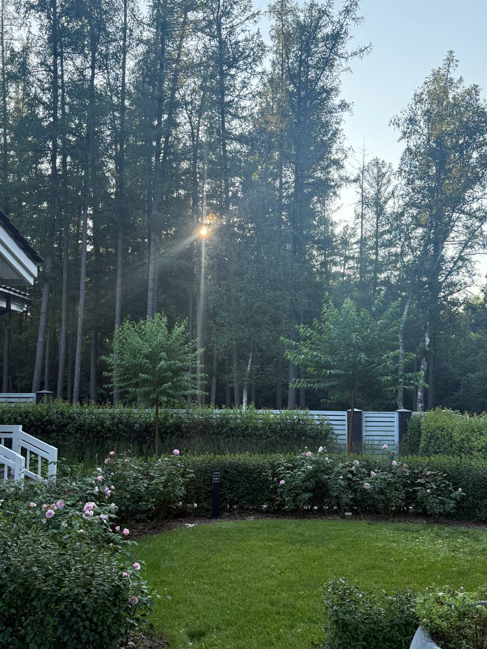 Про сад image preview