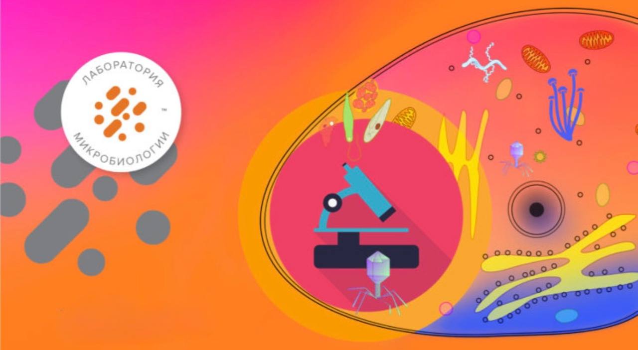 Выбор профессии детьми и как это влияет на успех image preview