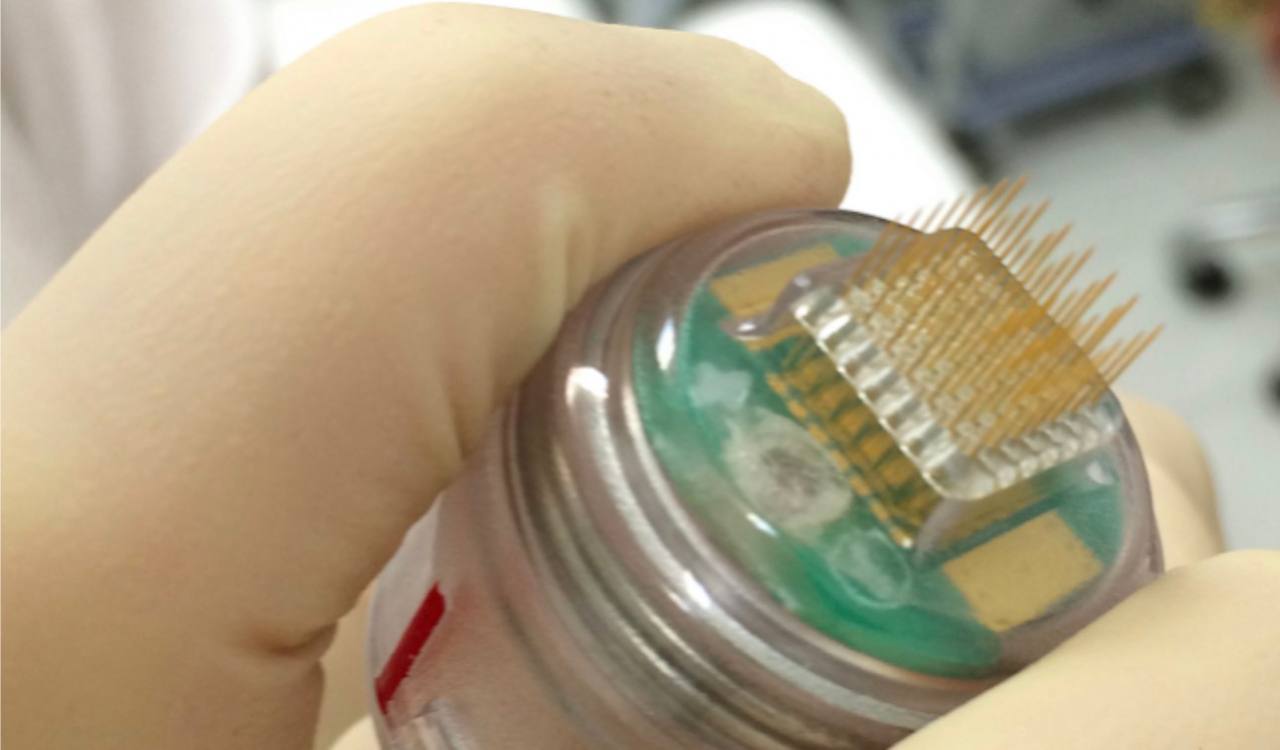 Косметологический бизнес: выводы и перспективы image preview