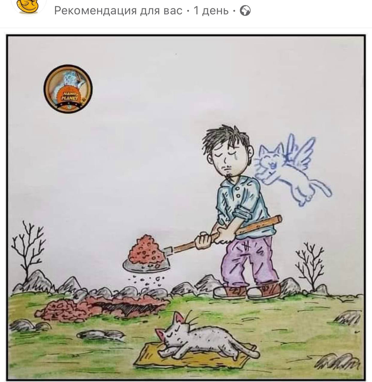 Субботняя история image preview